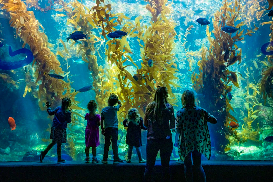 San Diego CityPASS Ticket